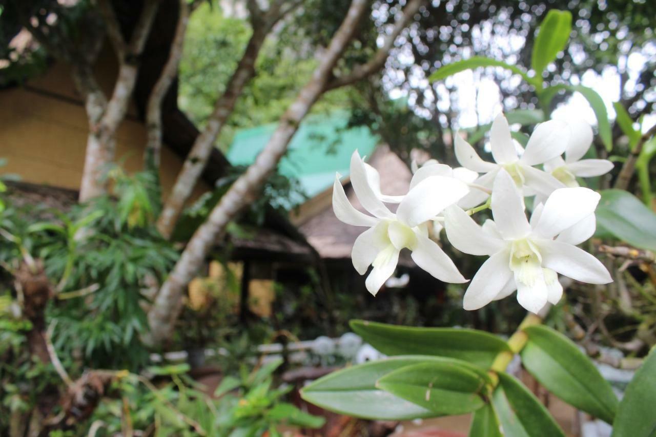 Cliffside Cottages El Nido Luaran gambar